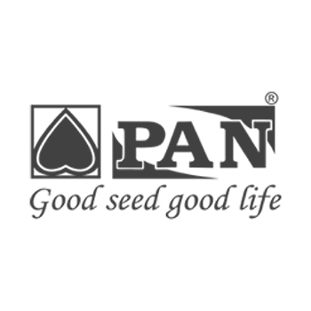 Pan